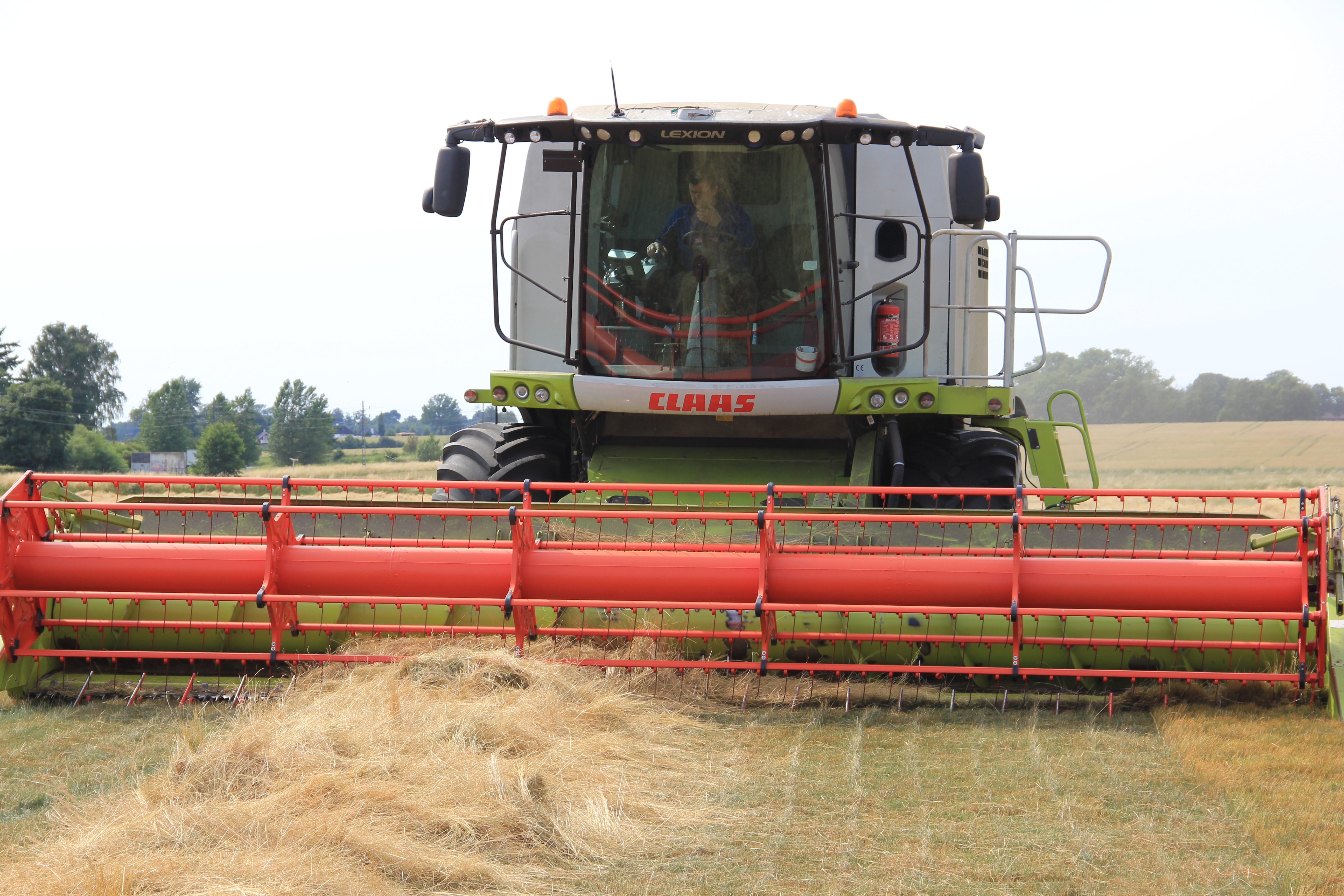 Tröskning av gräsfrö