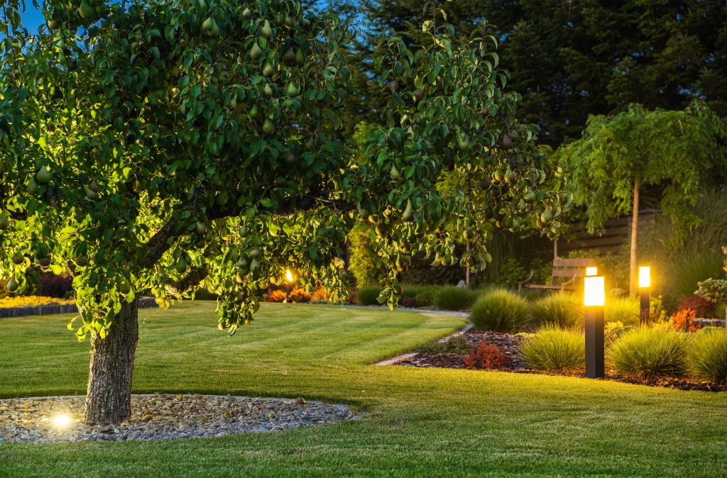 Beautiful Landscape Garden with Outdoor Lights Trädgård i mörker