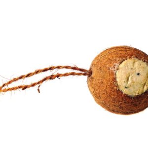 Kokosnöt
