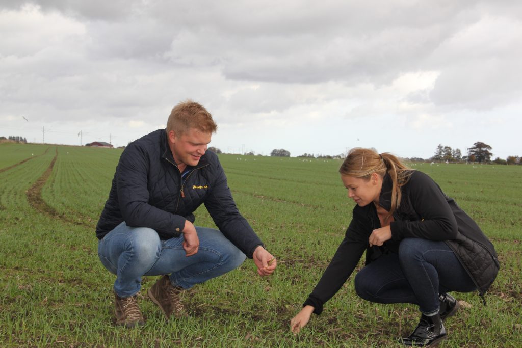 Lantbruk Pär & Louise