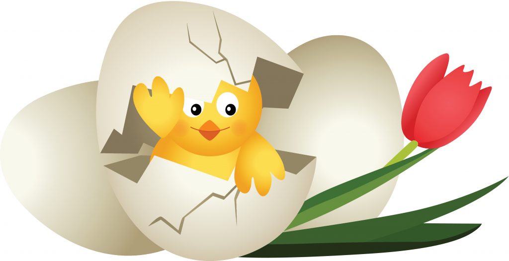 Easter egg chicken and tulip_1