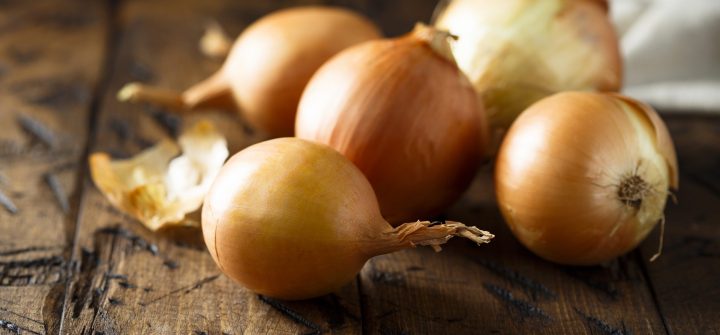 Raw onion on the table Raw onion on the table