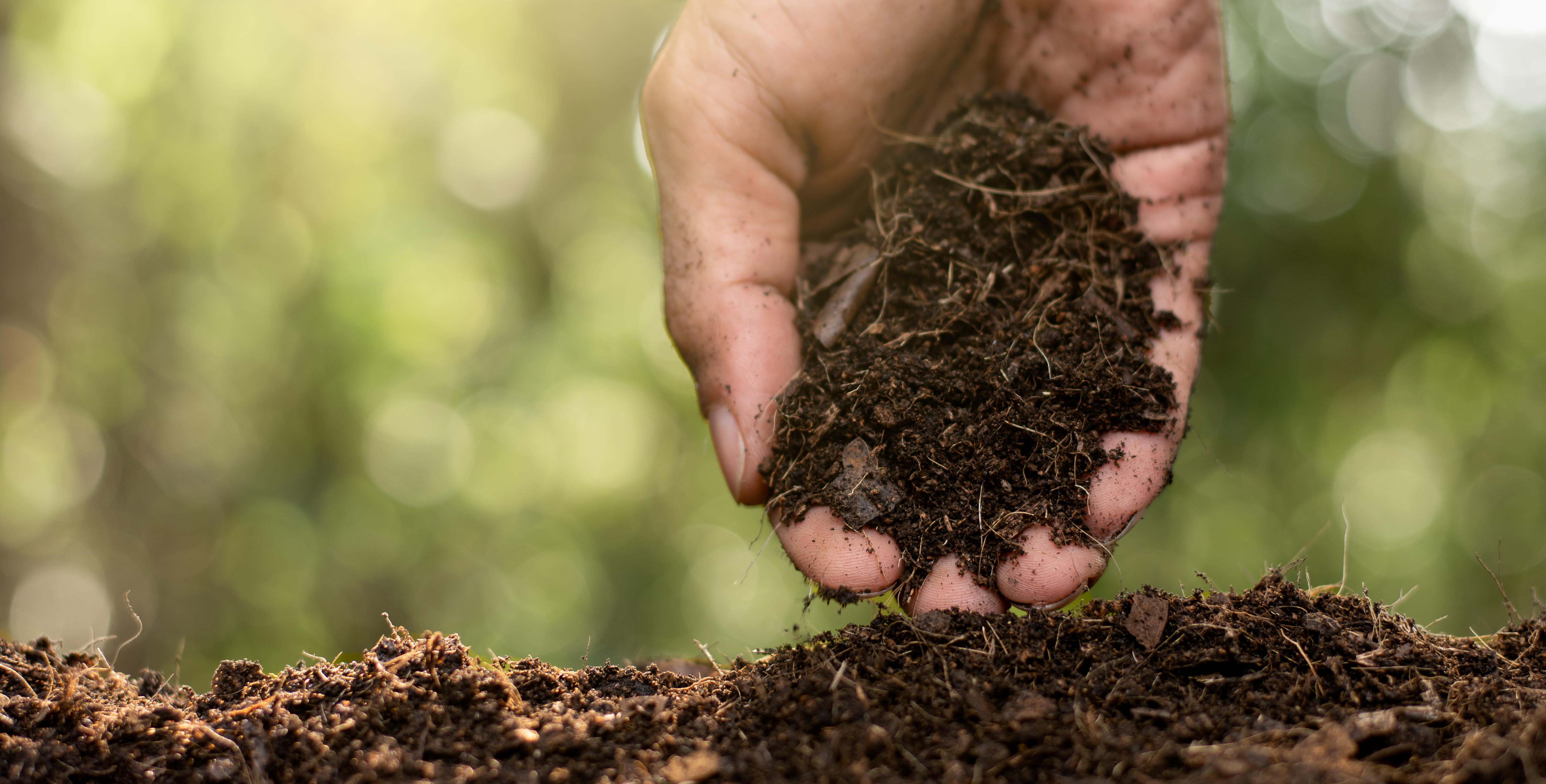 The hands of the agricultural men are picking the best soil for planting.