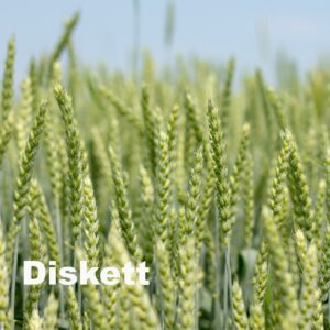 Diskett