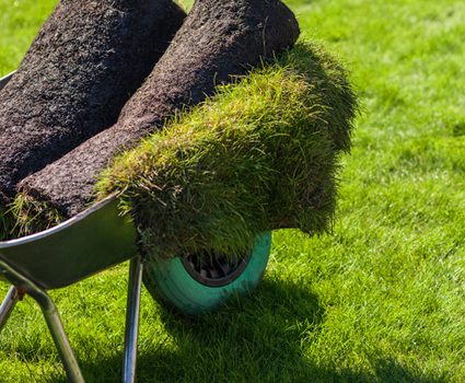 fardig-grasmatta fardig-grasmatta