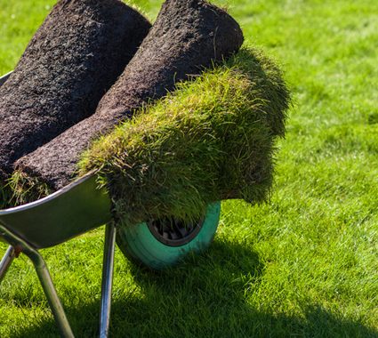 fardig-grasmatta fardig-grasmatta