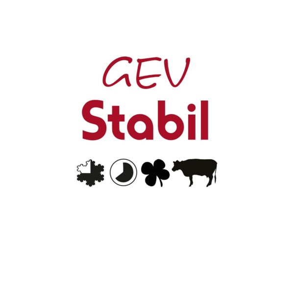 GEV Stabil