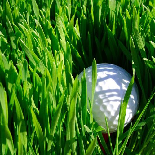 Vit golfboll i högt gräs