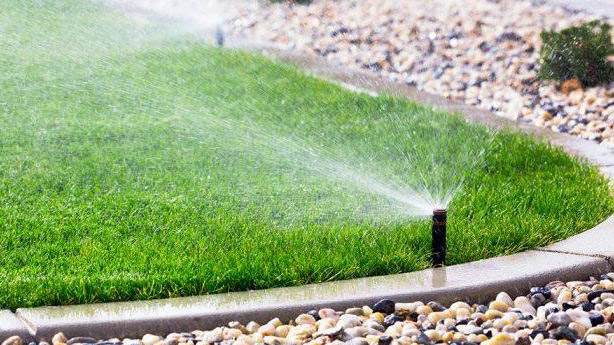 gras-vattna-700x420-1-e1591781273345-16-9