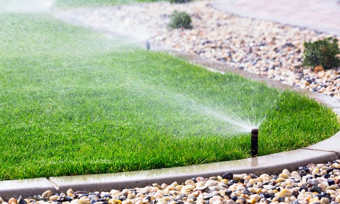 Sprinklers Automatic sprinklers watering lawn