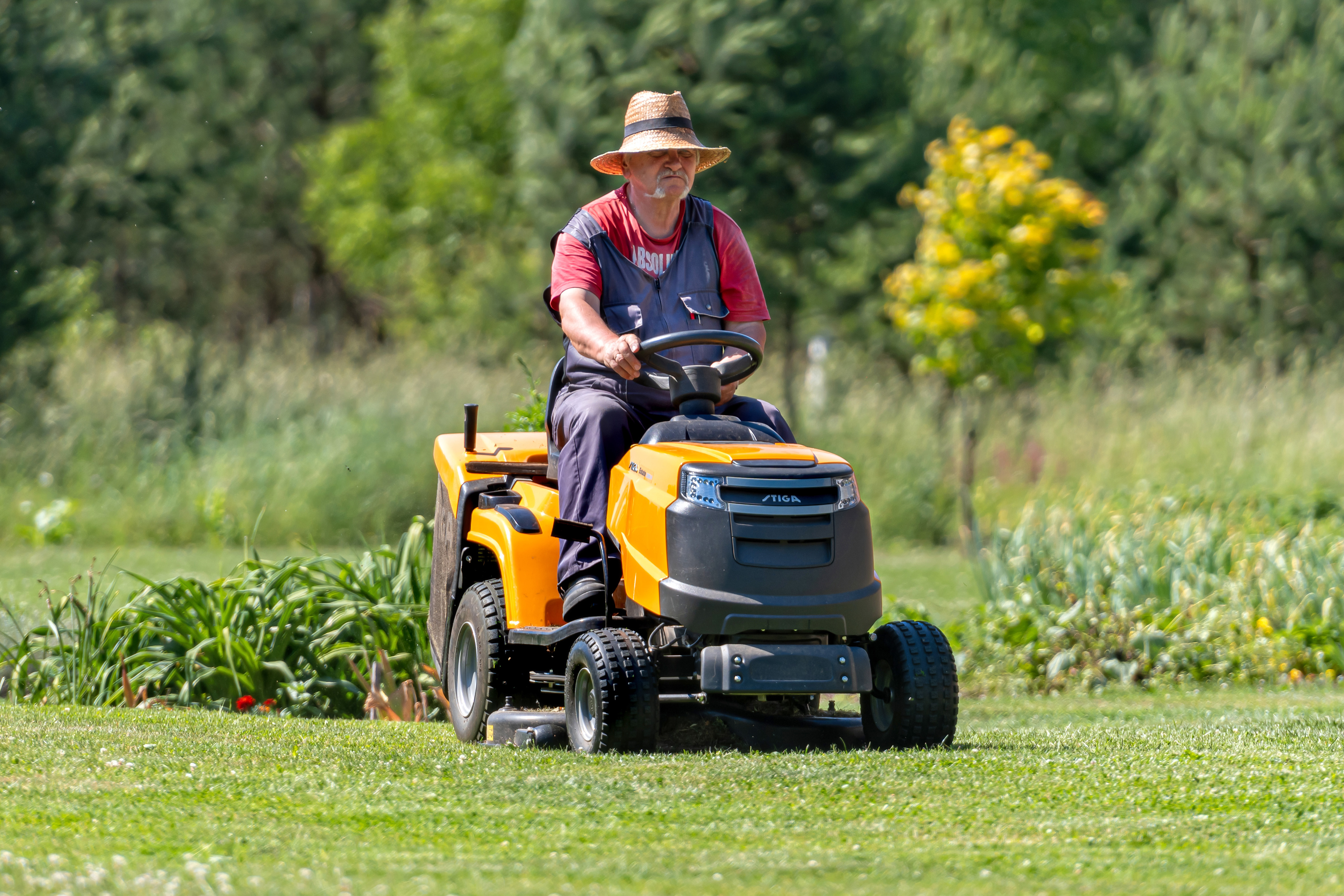 Gräsklippning 51256845 Man på åkgräsklippare