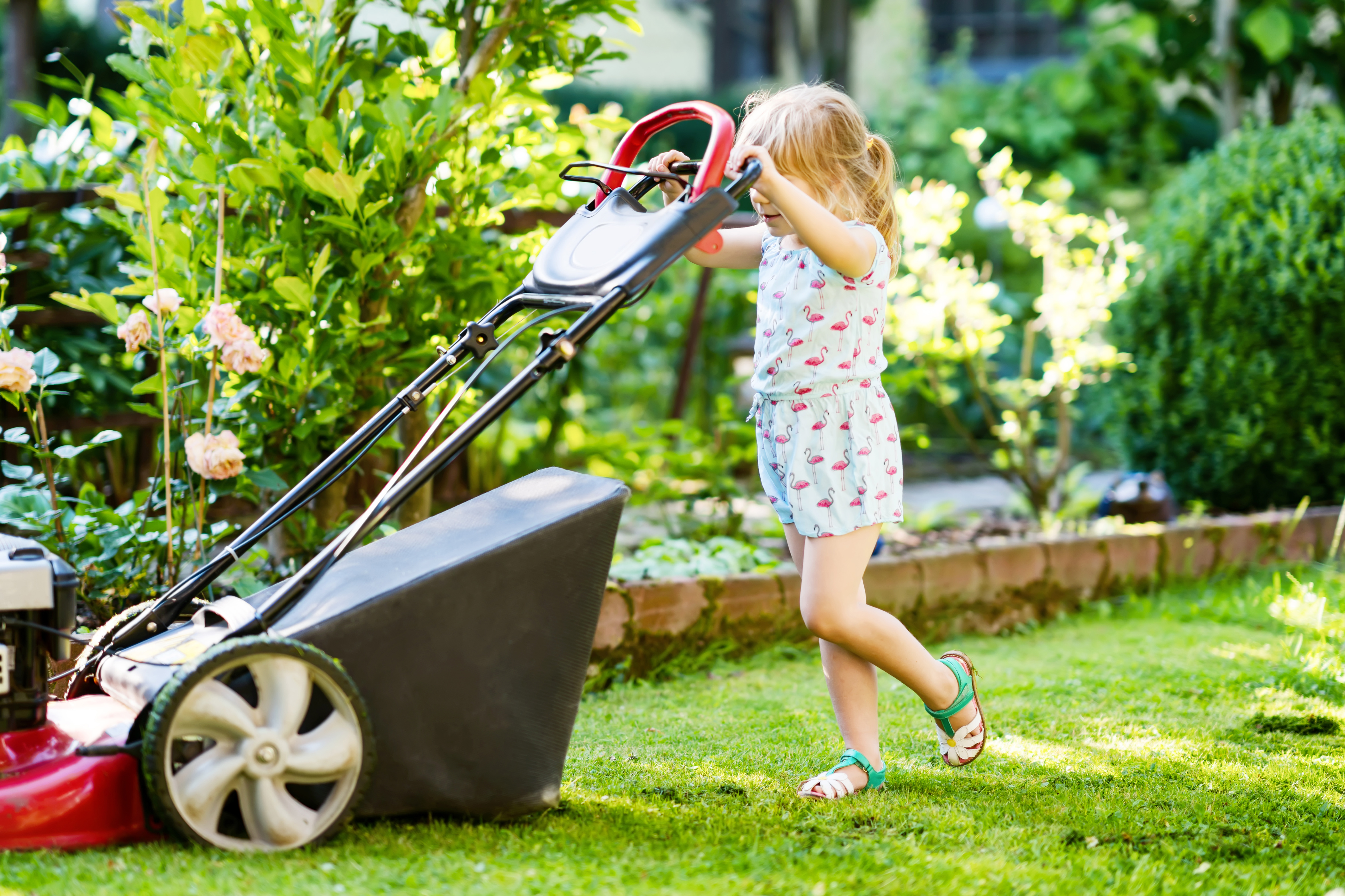 Gräsklippning 54401653 Flicka klipper gräs