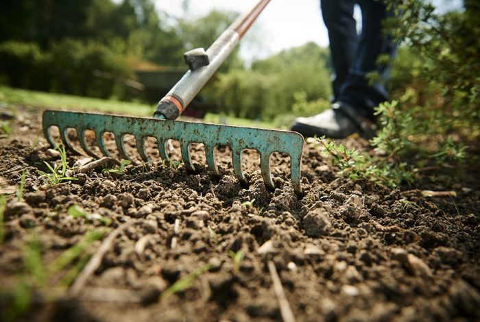 Gardening and raking in the garden in the spring working in the garden with wheel barrow and a green rake