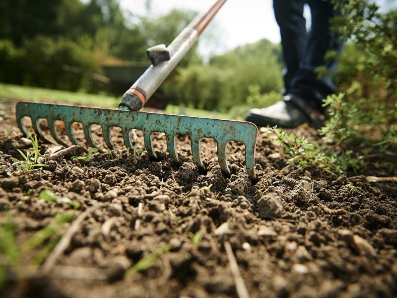 Gardening and raking in the garden in the spring Kratta jord-grässådd