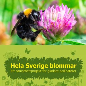 Hela Sverige Blommar