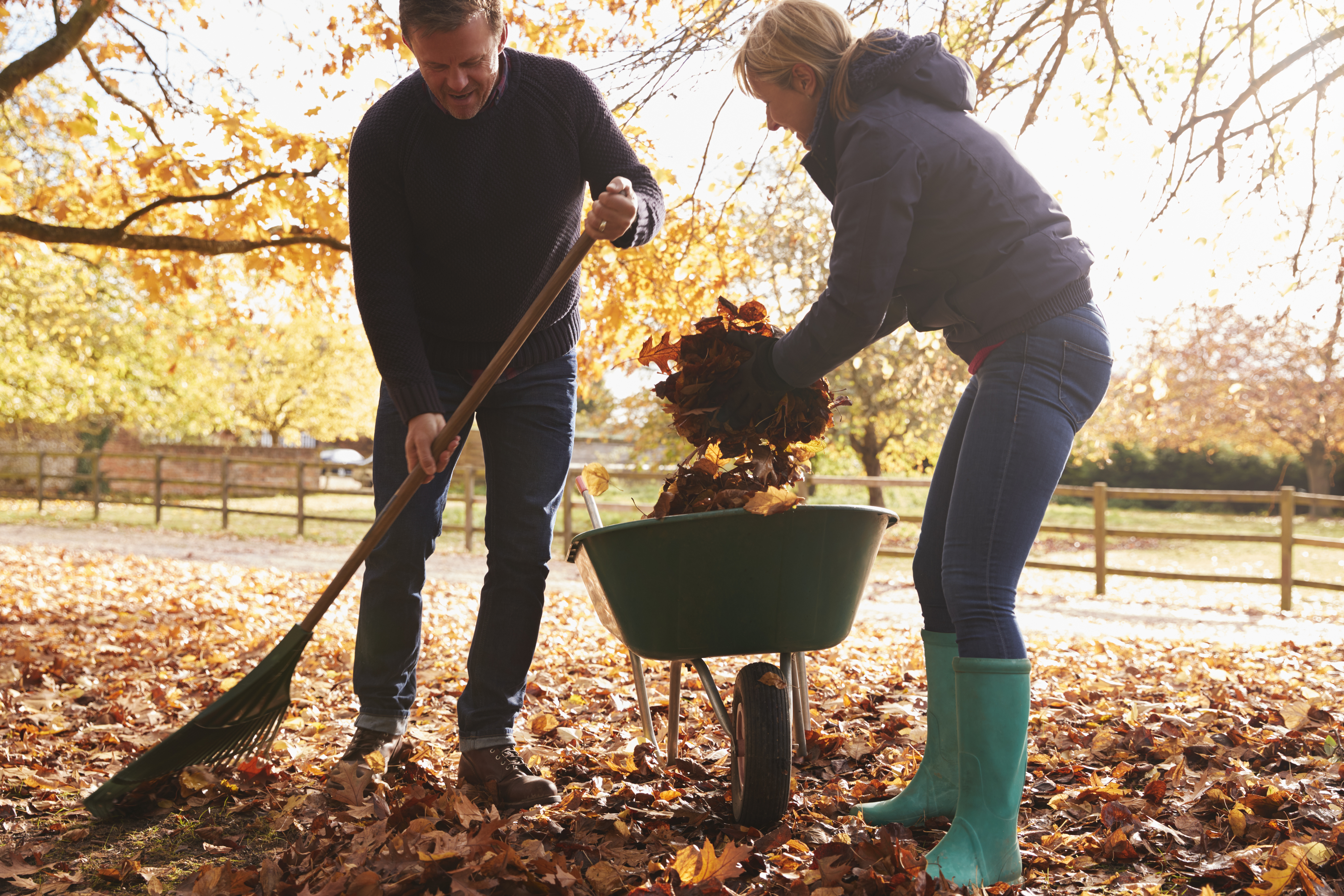 Mature Couple Raking Autumn Leaves in Garden Checklista höst par krattar löv