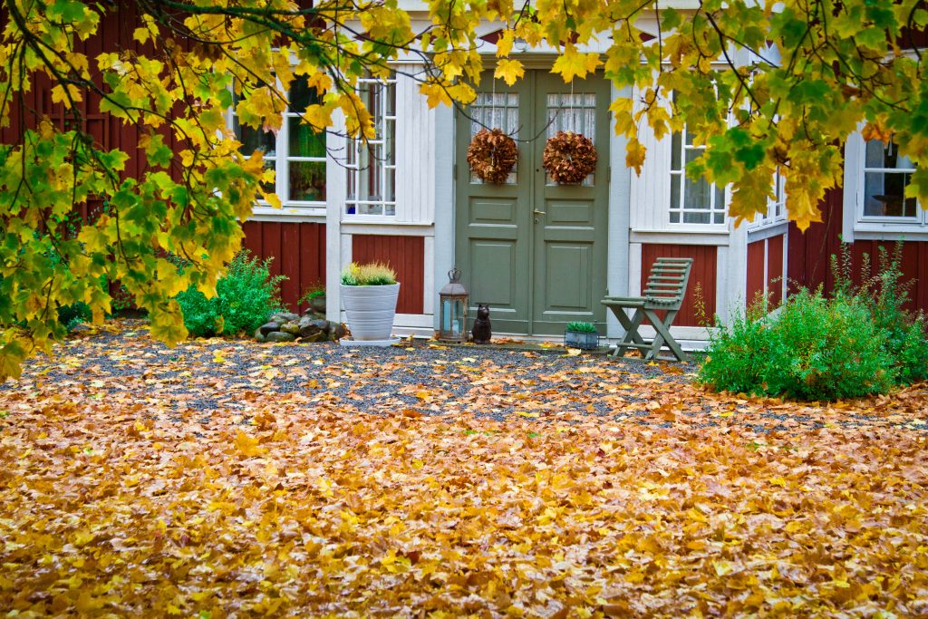 Höst - 3972213-tradgard-med-hostfarger-4 Hus i höstlöv