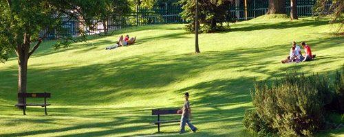 Park Park