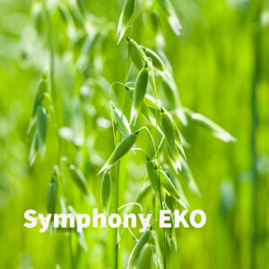 Symphony EKO