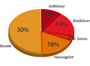 HSkB Ettårig