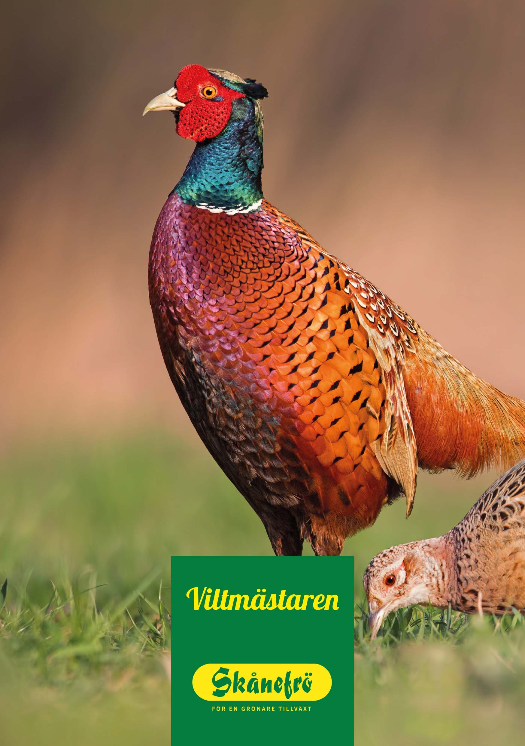 Viltmästarens T&P 2021 logga